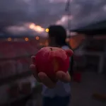 TrasmissioneAngolare