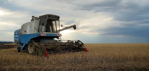 BCL142T1